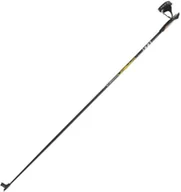 Kijki narciarskie - Leki Carbon - miniaturka - grafika 1