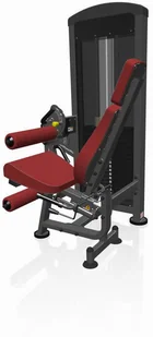 Marbo Sport Maszyna 2-w-1 na dwugłowy i czworogłowy uda MP-U216 - Atlasy do ćwiczeń Marbo Sport Maszyna 2-w-1 na dwugłowy i czworogłowy uda MP-U216 - Atlasy do ćwiczeń - miniaturka - grafika 10