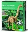 Russell BRACHIOZAUR WYKOPALISKA- ODKRYJ SZKIELET I STWÓRZ EKSPOZYCJĘ - Mały naukowiec - miniaturka - grafika 4