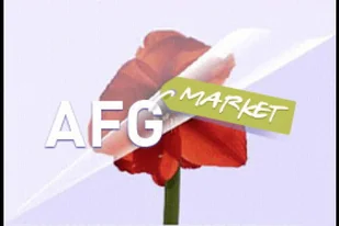 Olympia folia do laminacji 9169 - Folie do laminatora - miniaturka - grafika 2