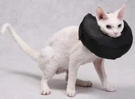 Specjalistyczne artykuły dla zwierząt - Grande Finale Kołnierz ochronny pooperacyjny rozmiar 3 [WET/K/3] 7553 - miniaturka - grafika 1