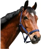 Kantary dla koni - Kantar nylonowy niebieski, roz. 5 - miniaturka - grafika 1