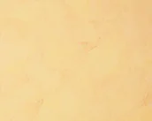 Tapety - A.S. Creation Tapeta ścienna 1690-20 Best of Vlies 2014 - miniaturka - grafika 1