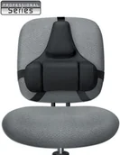 Podnóżki, podpórki, podkładki - Fellowes Podpórka pod plecy profesjonalna Professional Series: Podpórka pod plec - miniaturka - grafika 1