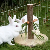 Akcesoria dla gryzoni - Kerbl Drzewko na świeże smakołyki 30 cm - miniaturka - grafika 1