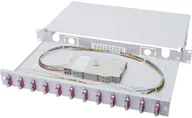 Panele krosownicze - Digitus Professional Rozdzielacz światłowodu 12 Portów SC Professional DN-96321-4 1 U - miniaturka - grafika 1