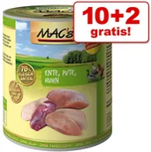 Mokra karma dla kotów - Mac´S Cat Karma Dla Kota, 12 X 800 G - Kitten - miniaturka - grafika 1