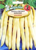 Nasiona i cebule - Legutko FASOLA ZWYKŁA KARŁOWA Galopka W. 40g ogr000176 - miniaturka - grafika 1