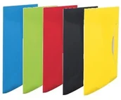 Teczki i skoroszyty - Esselte Teczka z gumką VIVIDA 15 MM NB-1610 - miniaturka - grafika 1