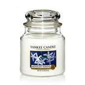 Świece - Yankee Candle Midnight Jasmine (średnia świeca) YSSMJ - miniaturka - grafika 1
