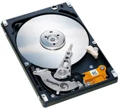 Dyski HDD - Seagate ST3160815A - miniaturka - grafika 1