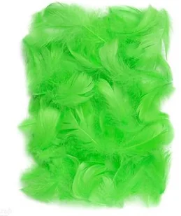 DpCraft Piórka zielone, 10-15 cm, 10G, DPCRAFT - Pasmanteria - miniaturka - grafika 2