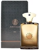 Wody i perfumy męskie - Amouage Dia Pour Homme Woda perfumowana 100ml - miniaturka - grafika 1
