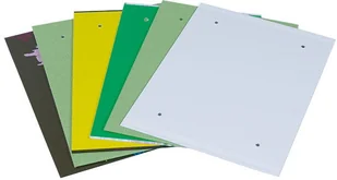 Donau Fascykuła z etykietą, tektura/PP, A4, mix kolorów 2092001PL-99 - Pudła i kartony archiwizacyjne - miniaturka - grafika 7