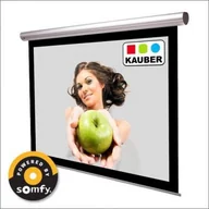 Ekrany projekcyjne - Kauber Blue Label Easy Use Wall (180x101) ProCine Grey - miniaturka - grafika 1