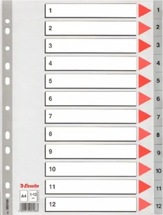 Esselte PZEKLADKI 1-12 SZARE PP 100106 - Etykiety samoprzylepne i bloki etykiet - miniaturka - grafika 3