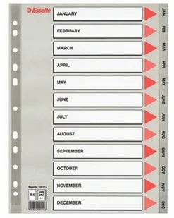 Esselte Przekładka plastikowe miesięczne A4 PP 12 miesięcy szare 100114 - Przekładki do segregatorów Esselte Przekładka plastikowe miesięczne A4 PP 12 miesięcy szare 100114 - Przekładki do segregatorów - miniaturka - grafika 1