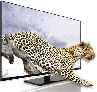 Telewizor Toshiba 55VL963 - Telewizory - miniaturka - grafika 2