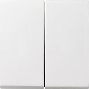 Gira 011 01135858 Klawisze System 55 do Wyłącznika kołyskowego i przycisku - Wyłączniki światła i elektryczne Gira 011 01135858 Klawisze System 55 do Wyłącznika kołyskowego i przycisku - Wyłączniki światła i elektryczne - miniaturka - grafika 1