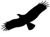Zwalczanie i odstraszanie szkodników - Naklejka, nalepka sylwetka ptaka  (wzór L20) - miniaturka - grafika 1