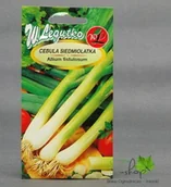 Nasiona i cebule - Legutko Cebula SIEDMIOLATKA 2g - miniaturka - grafika 1