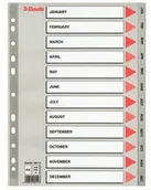 Przekładki do segregatorów - Esselte Przekładka plastikowe miesięczne A4 PP 12 miesięcy szare 100114 - miniaturka - grafika 1