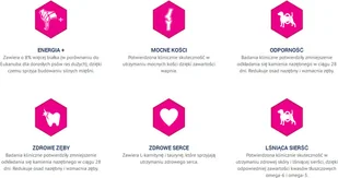 Eukanuba Eukanuba Adult Rottweiler Breed 12kg - Sucha karma dla psów - miniaturka - grafika 7