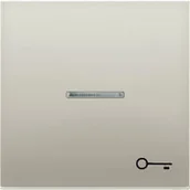 Wyłączniki światła i elektryczne - Jung Klawisz pojedynczy klucz podwietlany - LS Metal Finish Stal Szlachetna - miniaturka - grafika 1