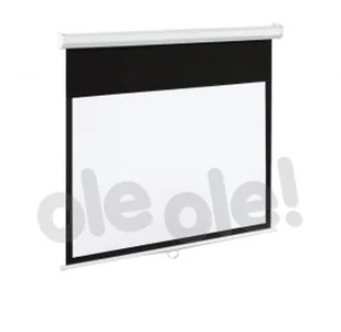 ART EM-150 305x229 4:3 150" - Akcesoria do projektorów - miniaturka - grafika 2