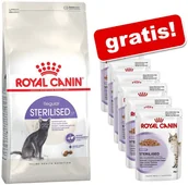 Sucha karma dla kotów - Royal Canin Kitten, 2 kg + Kitten Instinctive w sosie - miniaturka - grafika 1