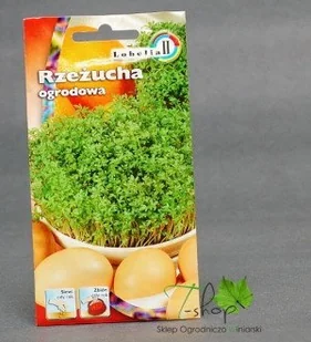 Lobelia Rzeżucha ogrodowa 10g - Nasiona na kiełki - miniaturka - grafika 2