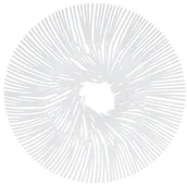 Tace i patery - Koziol Patera Anemone biała 3538525 - miniaturka - grafika 1