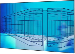 Samsung UE55C - Monitory reklamowe i wyświetlacze - miniaturka - grafika 5