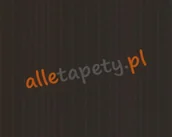 Tapety - A.S. Creation GEMINI 2246-37 TAPETY WINYLOWE TAPETA ŚCIENNA - miniaturka - grafika 1