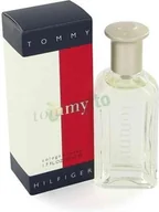 Wody i perfumy męskie - Tommy Hilfiger Tommy Woda toaletowa 100ml - miniaturka - grafika 1