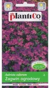 Nasiona i cebule - Plantico ŻAGWIN OGRODOWY 0,3g - miniaturka - grafika 1