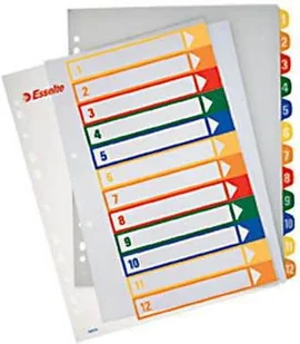 Esselte Przekładka A4 1/12 MAXI z możliwością nadruku 100214 - Segregatory - miniaturka - grafika 2