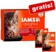 Mokra karma dla kotów - Iams 12 x 85 g Delights + 2 x 85 g Delights Adult Kurczak i indyk w sosie gratis! Mięsne smaki w sosie - miniaturka - grafika 1