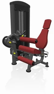 Marbo Sport Maszyna 2-w-1 na dwugłowy i czworogłowy uda MP-U216 - Atlasy do ćwiczeń Marbo Sport Maszyna 2-w-1 na dwugłowy i czworogłowy uda MP-U216 - Atlasy do ćwiczeń - miniaturka - grafika 6