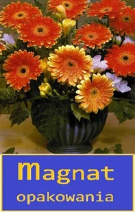 Kamet Marker suchościeralny 4szt z gąbką KM5418 - Markery do tablic - miniaturka - grafika 2