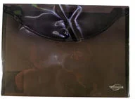 Titanum Teczka kopertowa A4 dymna-transparentna TK4TSM AB341TIT - Teczki i skoroszyty - miniaturka - grafika 2