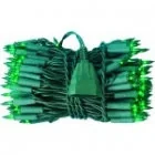 Lampy pozostałe - Bulinex Lampki miniaturowe z dodatkowym gniazdkiem 100L Zielony - miniaturka - grafika 1