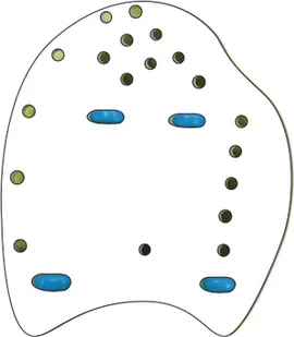 ZEROD Wiosełka Pływackie Large - Pływanie - miniaturka - grafika 2