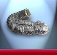 Rury i kanały wentylacyjne - Dospel Termofleks przewód fi125 5m - miniaturka - grafika 1