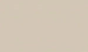 Magnat CERAMIC C49 KAMIE$16 FARAON$17W 2,5L - Farby wewnętrzne - miniaturka - grafika 2