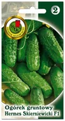 Nasiona i cebule - Nasiona ogórek gruntowy Hermes Skierniewicki F1 - miniaturka - grafika 1