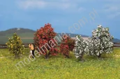 Kolejki i akcesoria - NOCH Krzewy z kwiatami / 5szt. 25420 - miniaturka - grafika 1