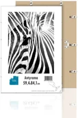 Antyramy - Antyrama A1 z plexi 59,4x84,1 cm AA59.4X84.1 - miniaturka - grafika 1