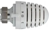 Głowice termostatyczne - Herz Głowica termostatyczna Design- D 1926099 - miniaturka - grafika 1