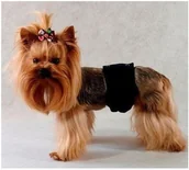 Specjalistyczne artykuły dla zwierząt - Grande Finale Pampas czarny - Majtki na cieczkę dla samca rozmiar 4 [PA1/4] 11183 - miniaturka - grafika 1